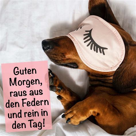 lustiger morgen|gute morgen aufwachen.